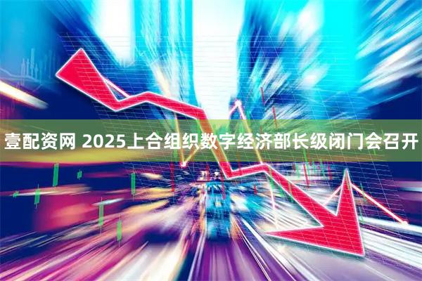 壹配资网 2025上合组织数字经济部长级闭门会召开
