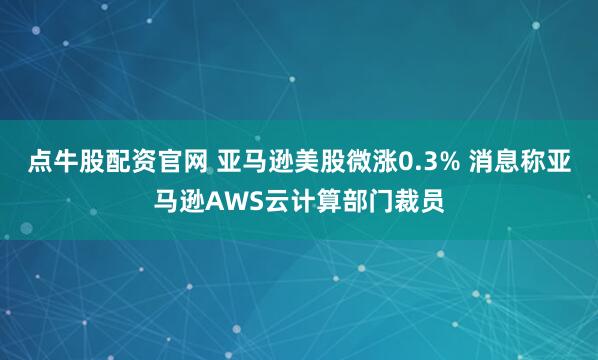 点牛股配资官网 亚马逊美股微涨0.3% 消息称亚马逊AWS云计算部门裁员
