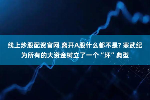 线上炒股配资官网 离开A股什么都不是? 寒武纪为所有的大资金树立了一个“坏”典型