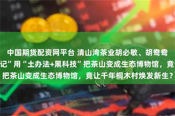 中国期货配资网平台 清山湾茶业胡必敏、胡鸯鸯父女档上演“茶山变形记”用“土办法+黑科技”把茶山变成生态博物馆，竟让千年桐木村焕发新生？