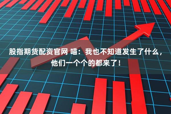 股指期货配资官网 喵：我也不知道发生了什么，他们一个个的都来了！